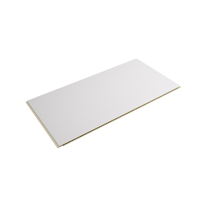 Panel de pared compuesto de Wpc aislante y fácil de mantener que ahorra energía