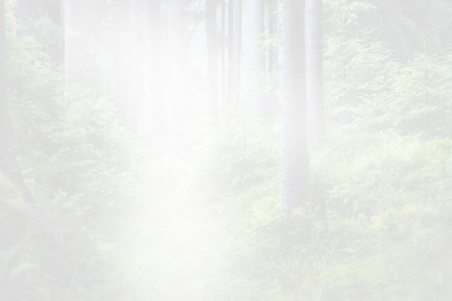 Zhejiang QianDuoMu Decoración inteligente Co., Ltd.